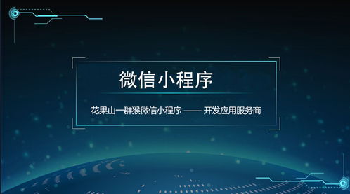 软件开发外包报价策略解析 如何选择靠谱的外包服务厂家