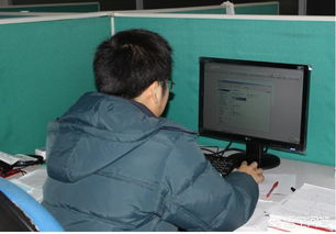 离职之际发现代码漏洞 外包开发者的责任与应对之道