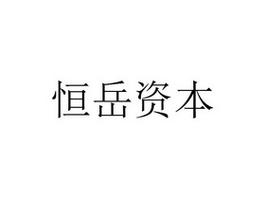 山东恒岳金融软件服务外包 专注软件外包服务，助力金融科技高效落地